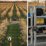 Caméra WiFi Uniarch Dual Lens 3+3MP Panda