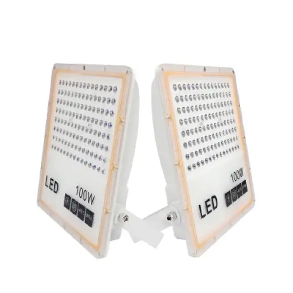 Projecteur LED étanche 100W