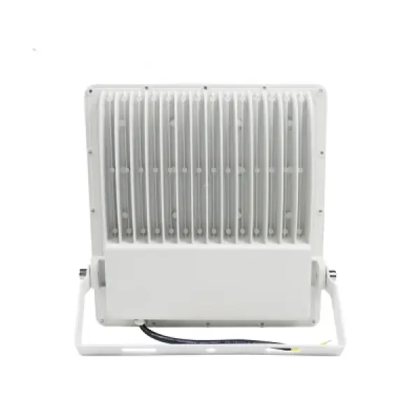 Projecteur LED étanche 100W