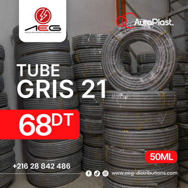 Tube Gris 21 1er Choix AuraPlast 100ML