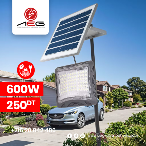 Projecteurs solaires + Panneau solaire I Haute qualité I 600 W