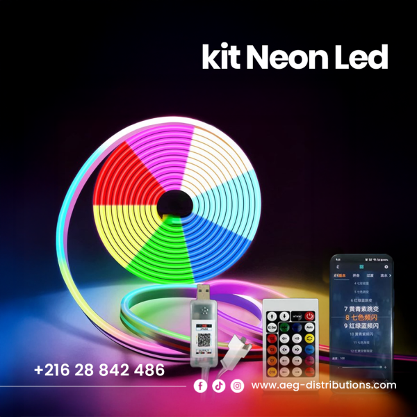 kit néon LED