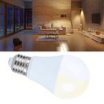 Lampe LED 12W 12V/24V AC/DC