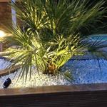 Spot piquet extérieur LED COB 6W