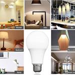 Lampe LED 12W 12V/24V AC/DC