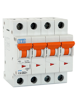 Disjoncteur Divisionnaire PLS6/PLZ6