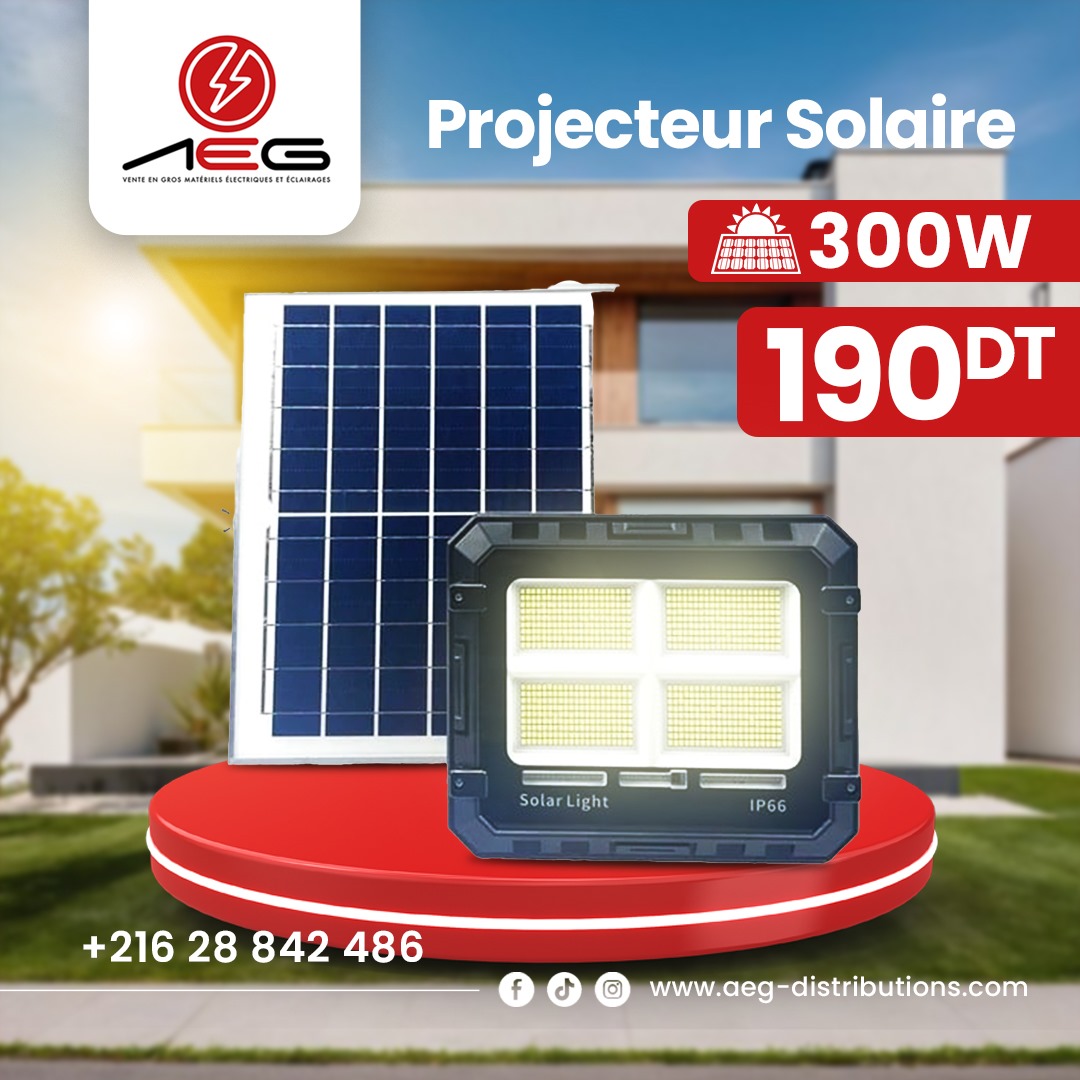 Projecteurs solaires + Panneau solaire ✨Haute qualité✨300 Watt
