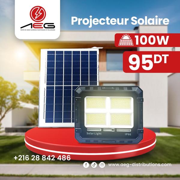 Projecteurs solaires + Panneau solaire ✨Haute qualité ✨100 Watt