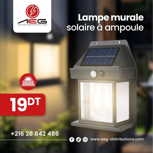 Lampe murale solaire à ampoule
