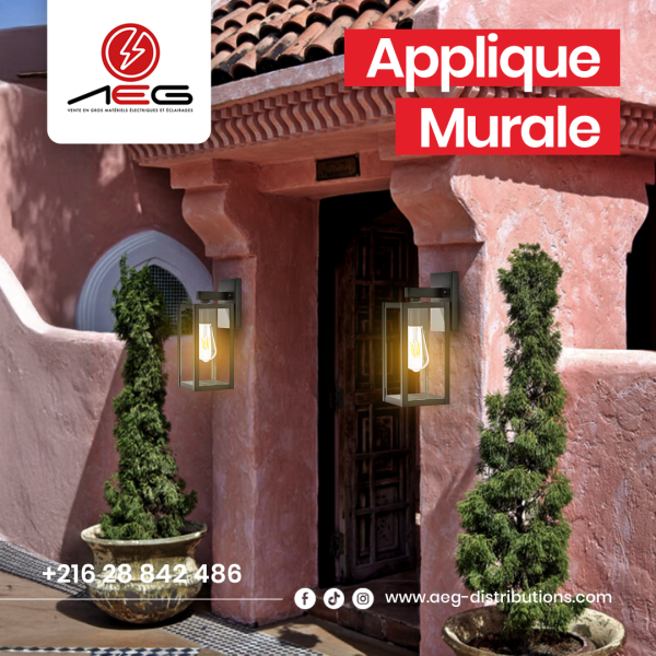 Applique Murale AEG – Élégance et Éclairage Haut de Gamme