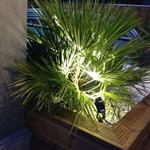 Spot piquet extérieur LED COB 6W