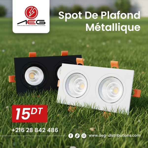 Spot de plafond métallique blanc/noir 2 lampes orientables